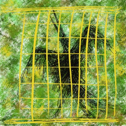Caged Bird 2