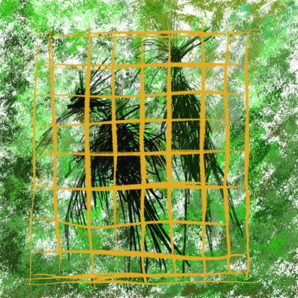 Caged Bird 5